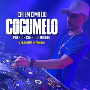 Cai em Cima do Cogumelo