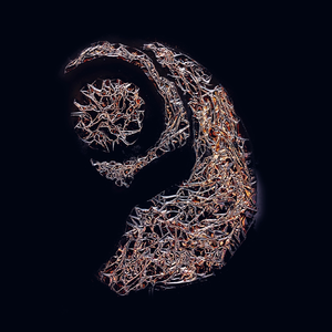 Вечернее правило