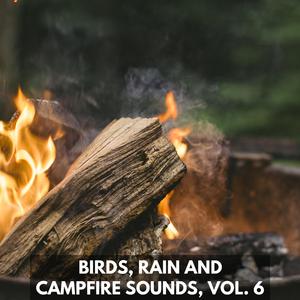 Shadowy Mountain Wind Summer Day