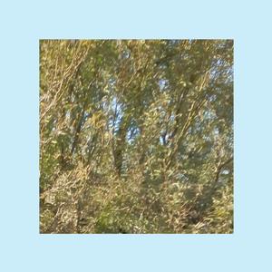 Running from the Static Police (On a Grimey Night)