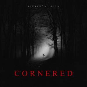 Cornered