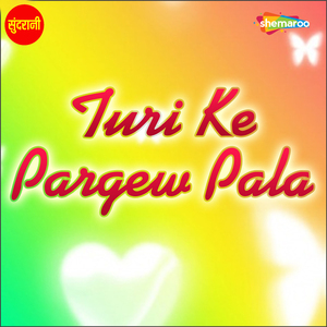 Honge Umar H Sola Le