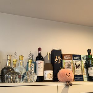 红线(告高市早苗).wav