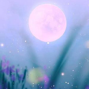 林俊杰-可惜没如果（Evil章鱼哥 remix）