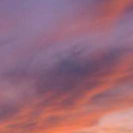 没有一次的想到等