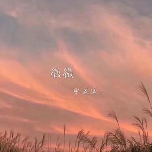 微微