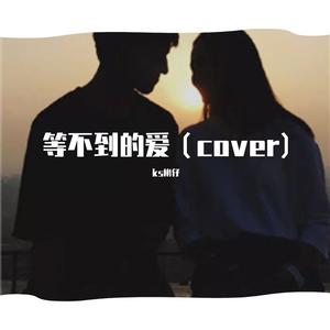 殷世航-等不到的爱（ks彬仔 remix）
