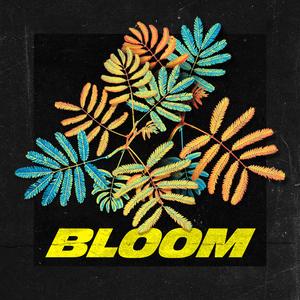 Bloom