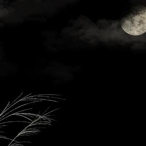 孟婆汤（猫乔）