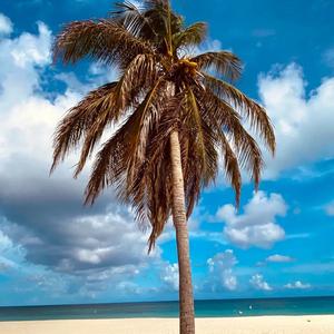 心如刀割(2021 Electro Mix)