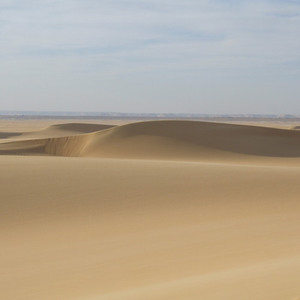 canicule ( loin )