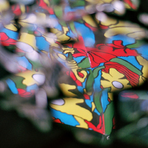 Le cascadeur fleuriste, Pt. I