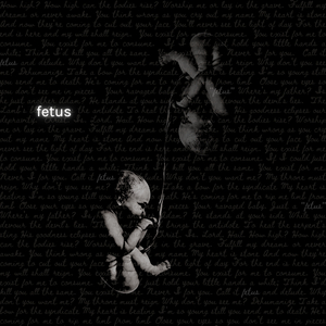 Fetus