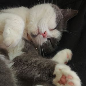 Boo'd Up (TWINGAMEOVER remix）