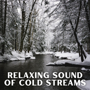 Relaxing Mountain Stream