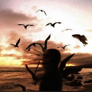 曾经沧海难为水