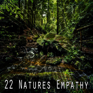 在大自然中散步