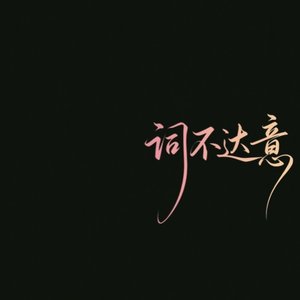 词不达意
