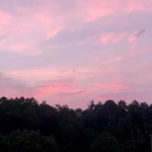 法老-不太亲密的爱人（医生 remix）