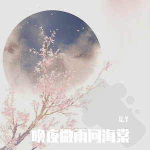 晚夜微雨问海棠