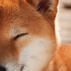 mind games (sped up)