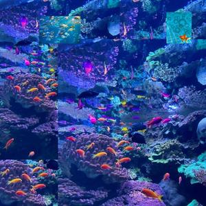 aquaproof (feat. scizzie)