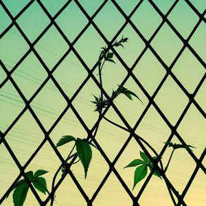 糟糕 我陷得比你早