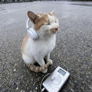 我曾经爱上一个人