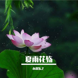 寂寞花开