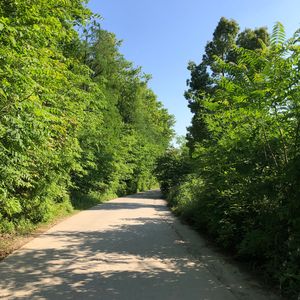 五月天（Cover S.H.E)