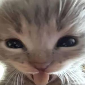 scorsese baby daddy (slowed)