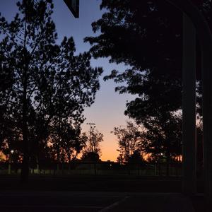 Whenever (feat. JCMC)