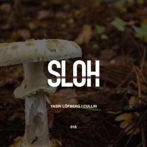 Sling (Original Mix)