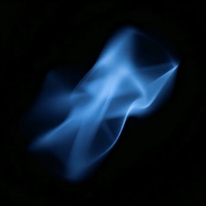 burst into bloom（绽放）