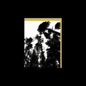 Process of Pyoneers (Processor Remix)