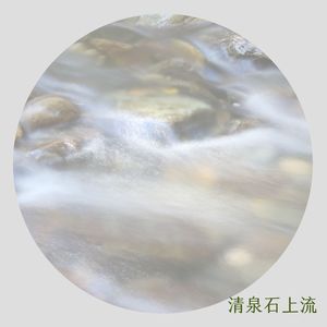 森林晨曲 (舒缓)