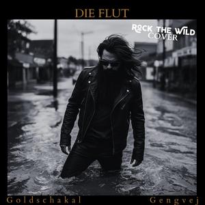 Freunde im Sturm (Live Version)