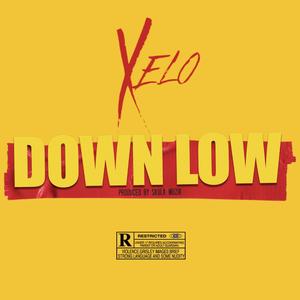 Down Low (feat. Skulk Muzik)