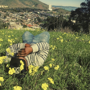 Some Flowers (⁠≧⁠▽⁠≦⁠)｡⁠*ﾟ