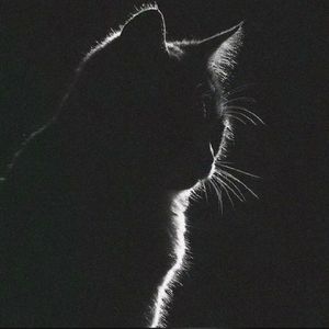 致命一刀（小樂 ）