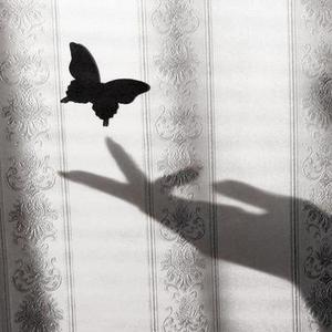 四季都是调色师