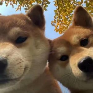 最近过得还好吗