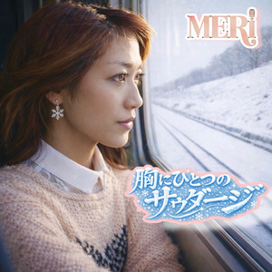 胸にひとつのサウダージ