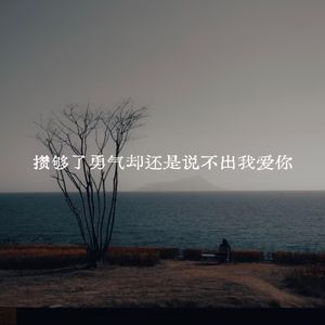 攒够了勇气 却还是说不出我爱你