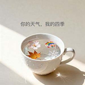你的天气，我的四季