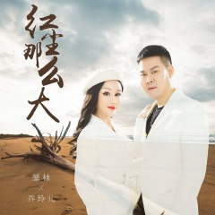 红尘那么大 (DJ月之歌版)