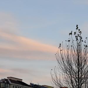 谁能帮我发明一台时光机