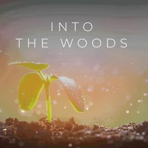 Into The Woods (feat. ATLYS)