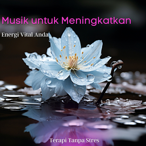 Sentuhan Lembut Ketentraman