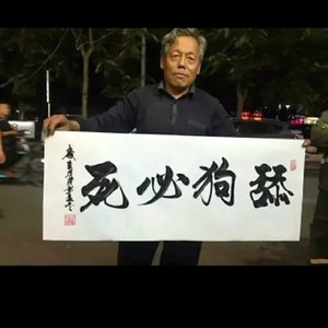 狗的故事